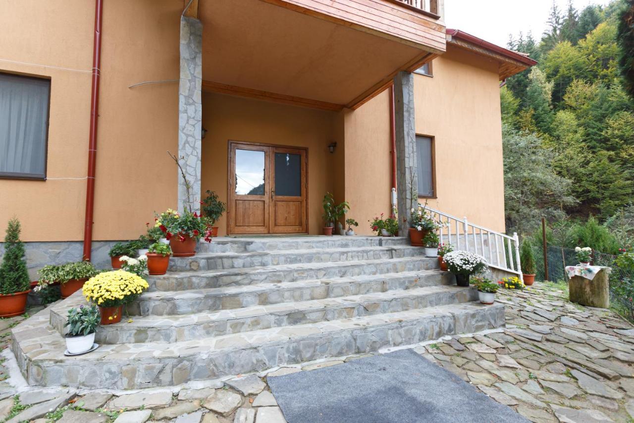 Pensiunea Casoca-Cascada Siriu Buitenkant foto